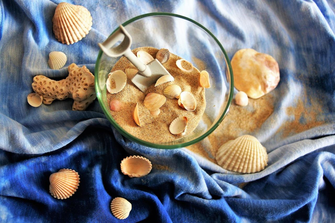 Shells on the blue bedsheet