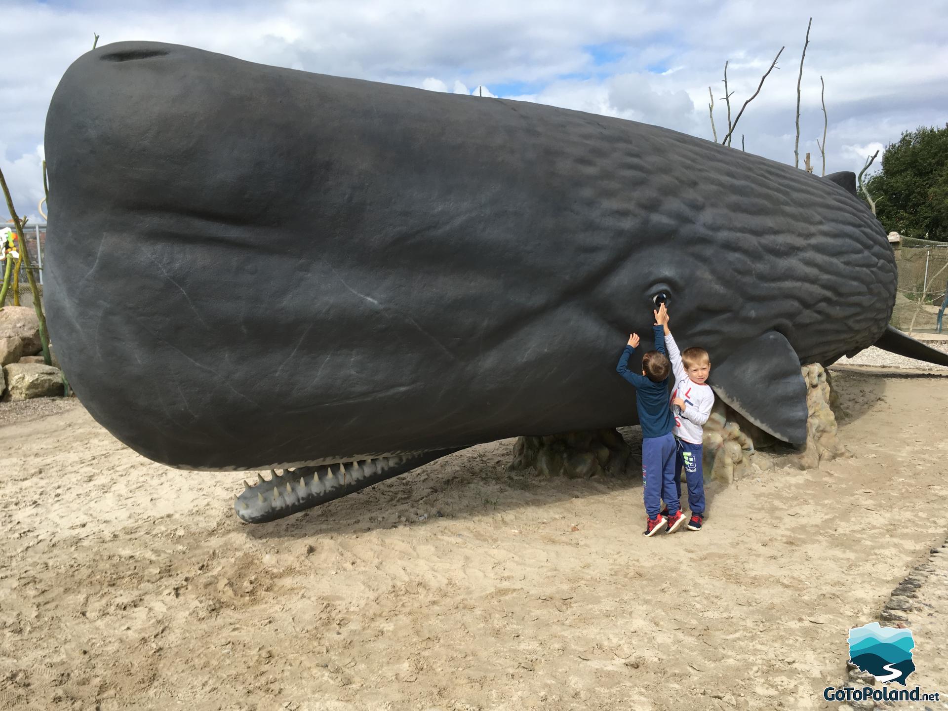 a model of grey whale