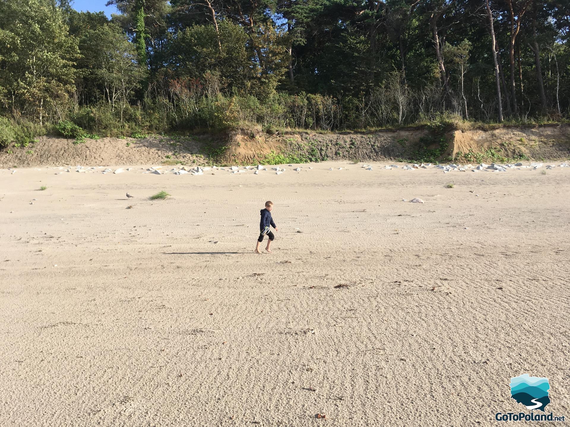 a boy on a wide, sandy beach