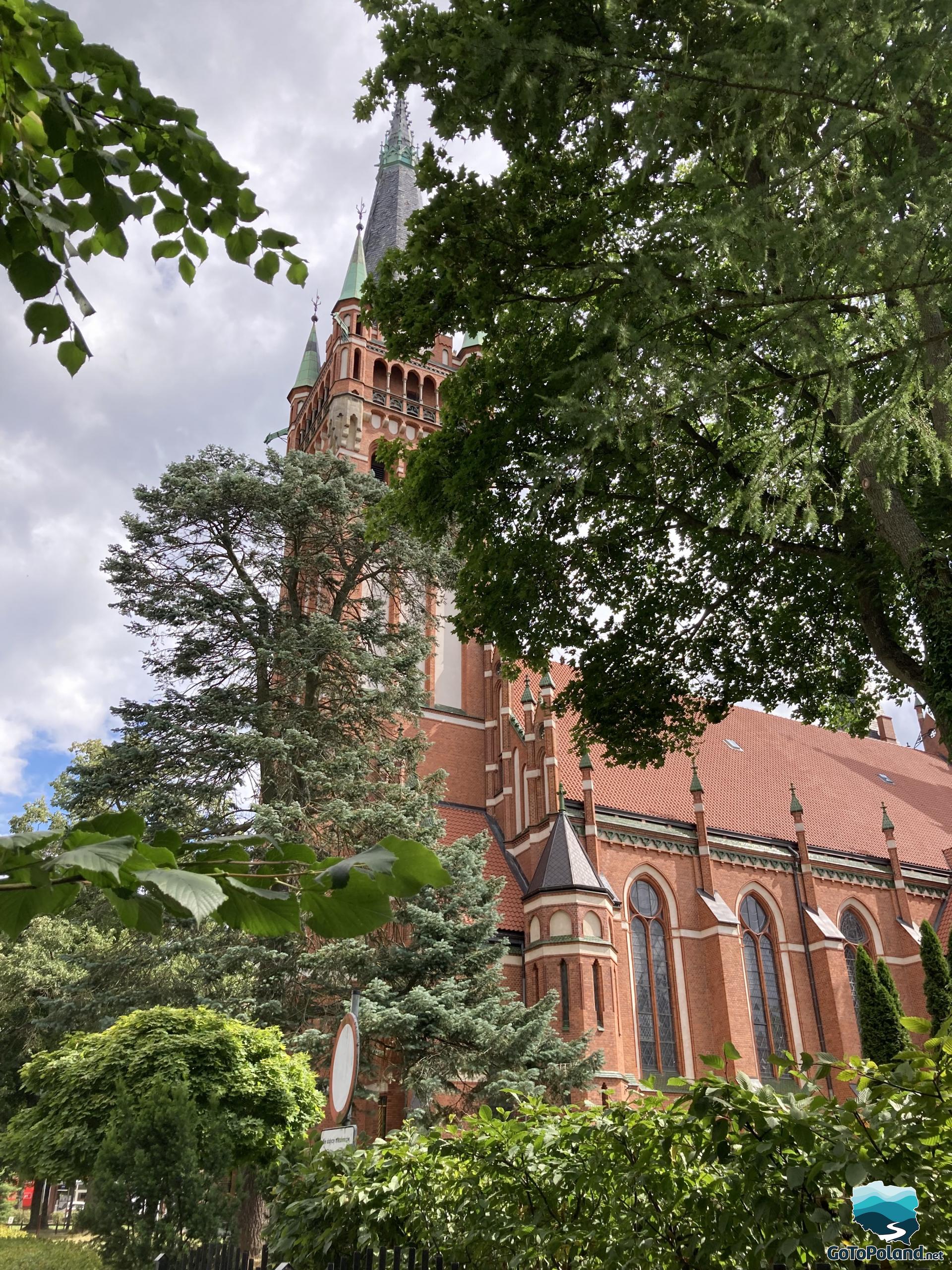 a church emerges behind the trees
