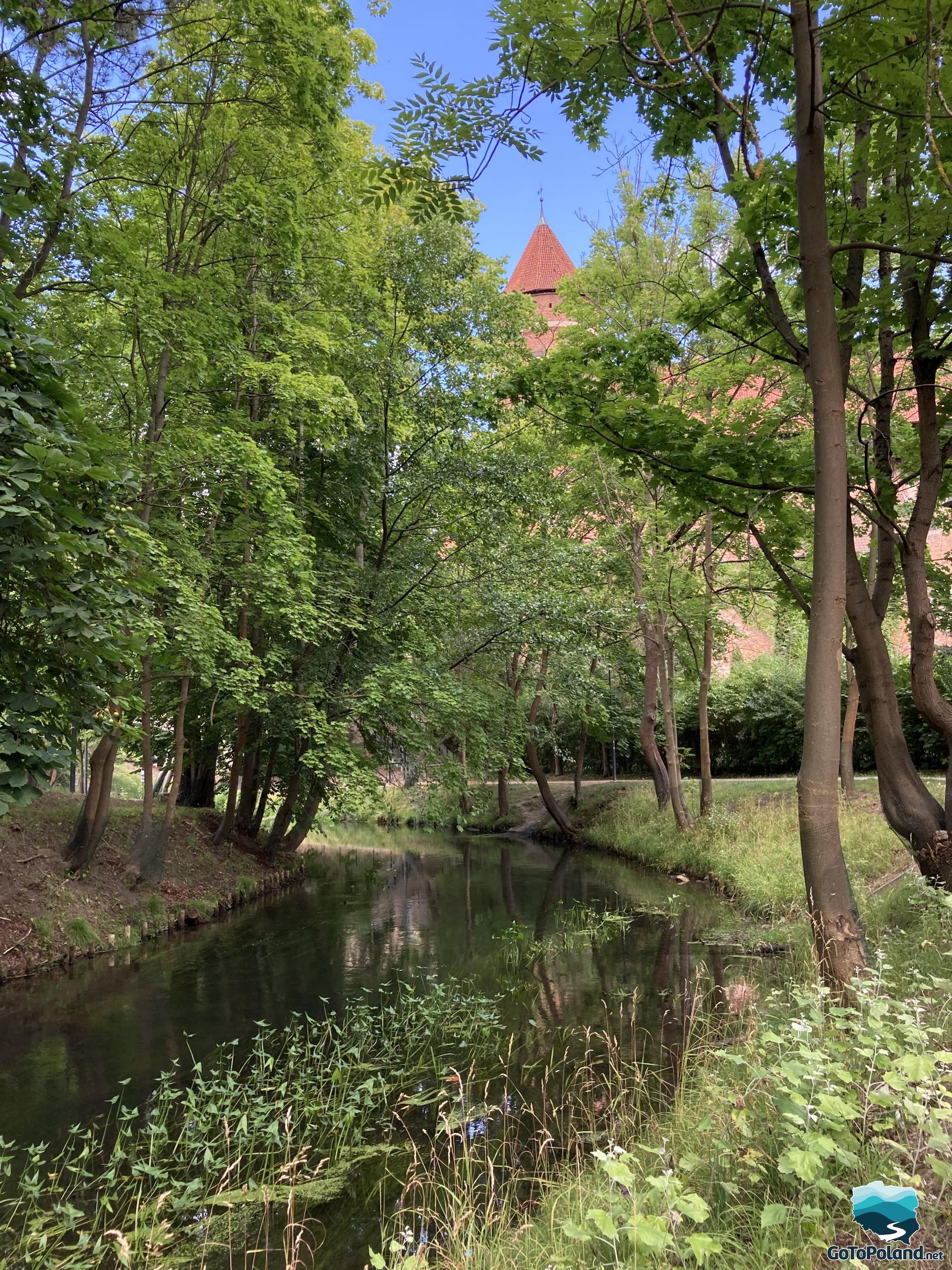 a river flows in the foreground, a castle emerges behind the trees