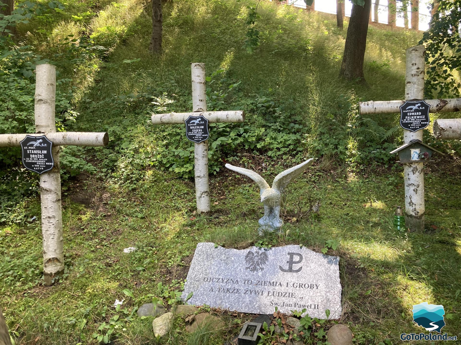 crosses made of birch wood commemorating Polish soldiers murdered in Katyn
