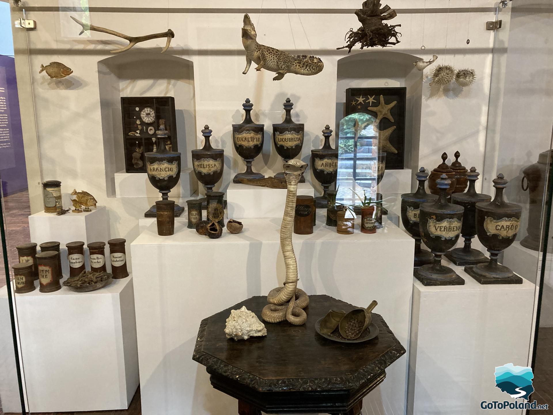 an exhibition of amphorae with herbs
