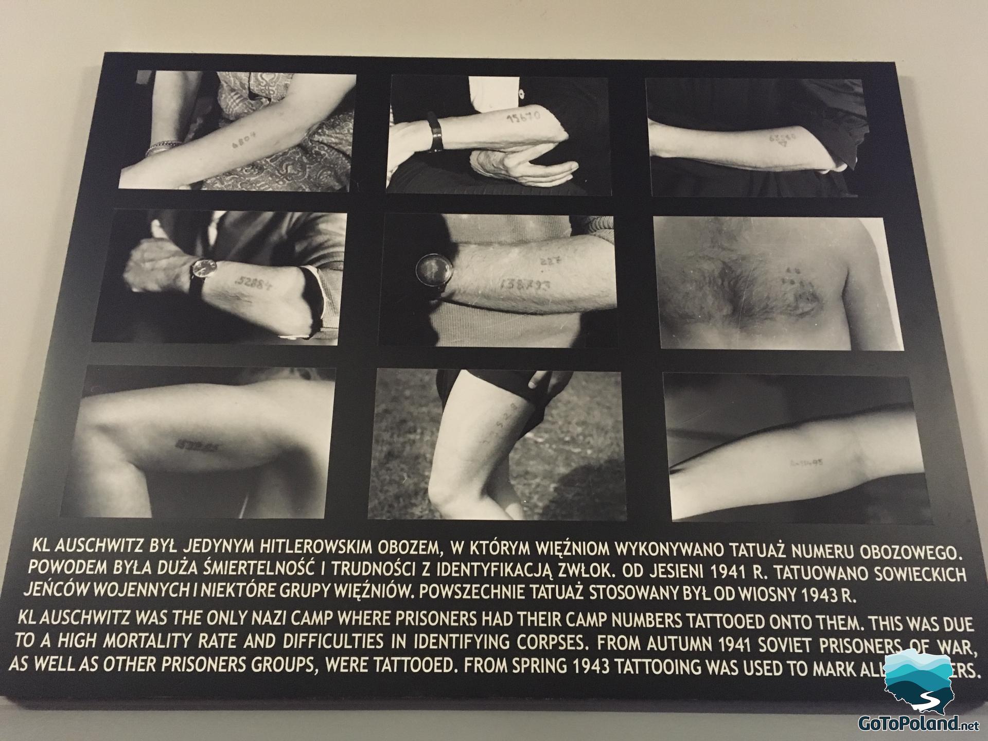 information board with photos of tattooed various body parts