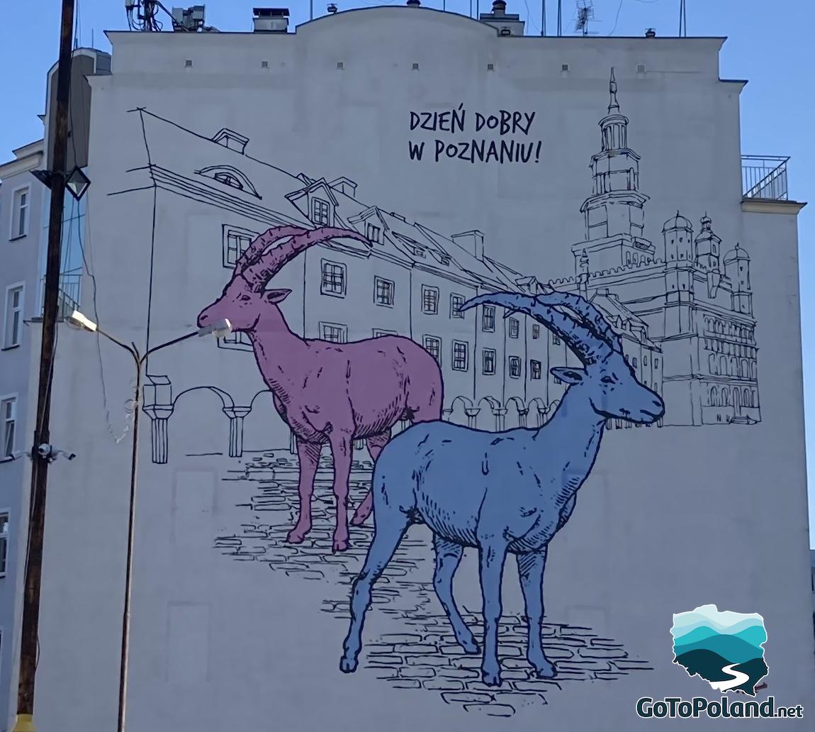 a mural presenting two goats inviting to Poznań