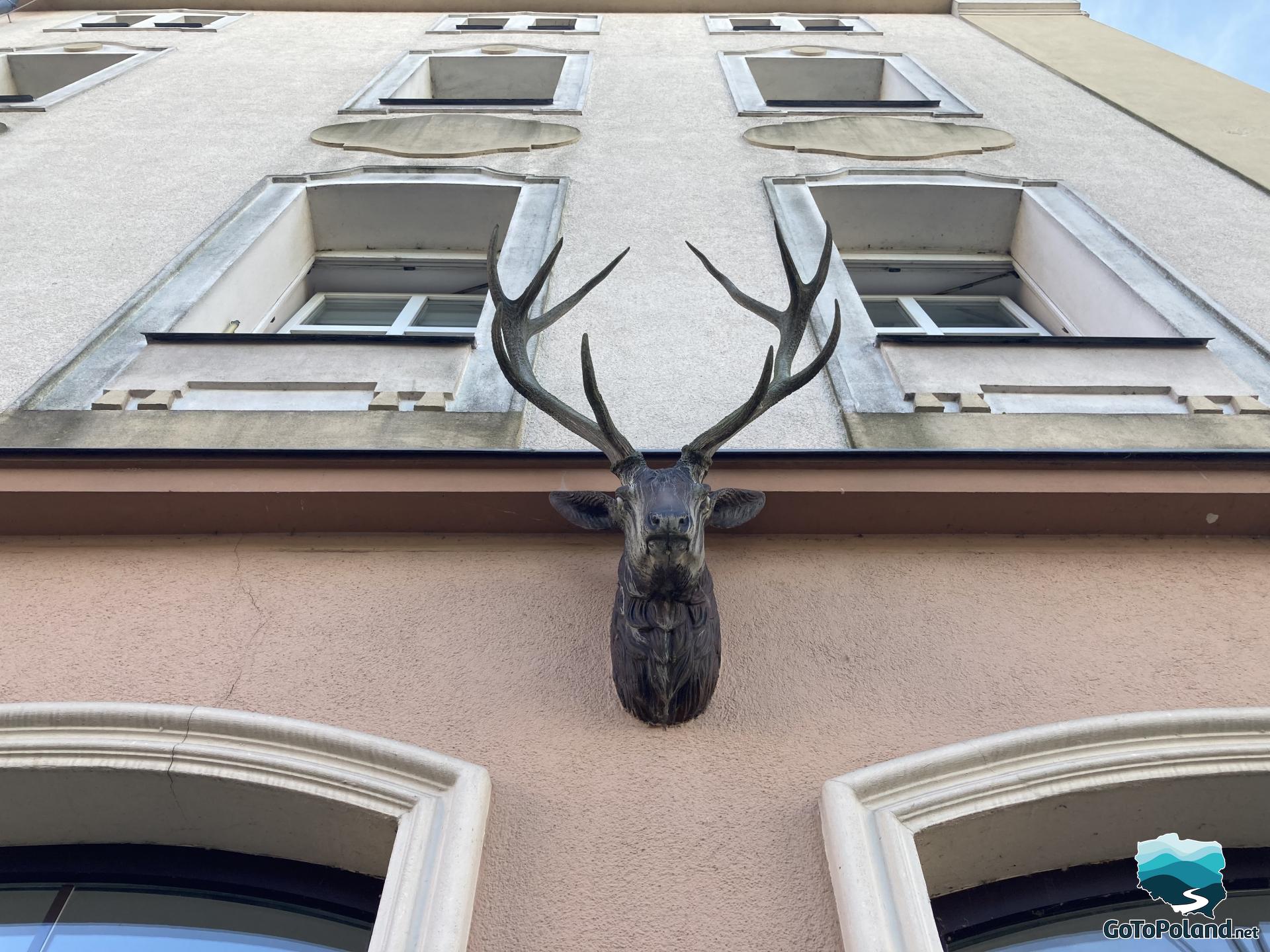 a deer head with antlers attached to a building