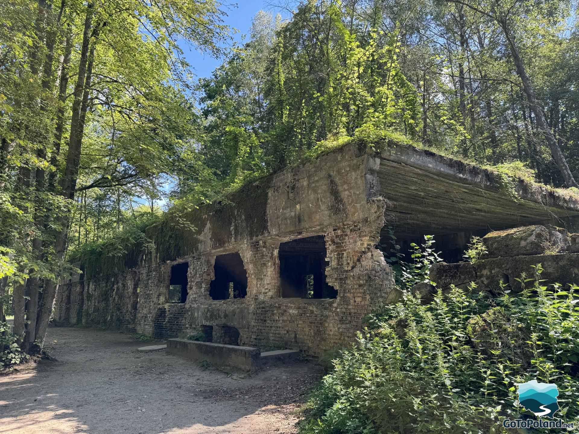 destroyed building with no windows