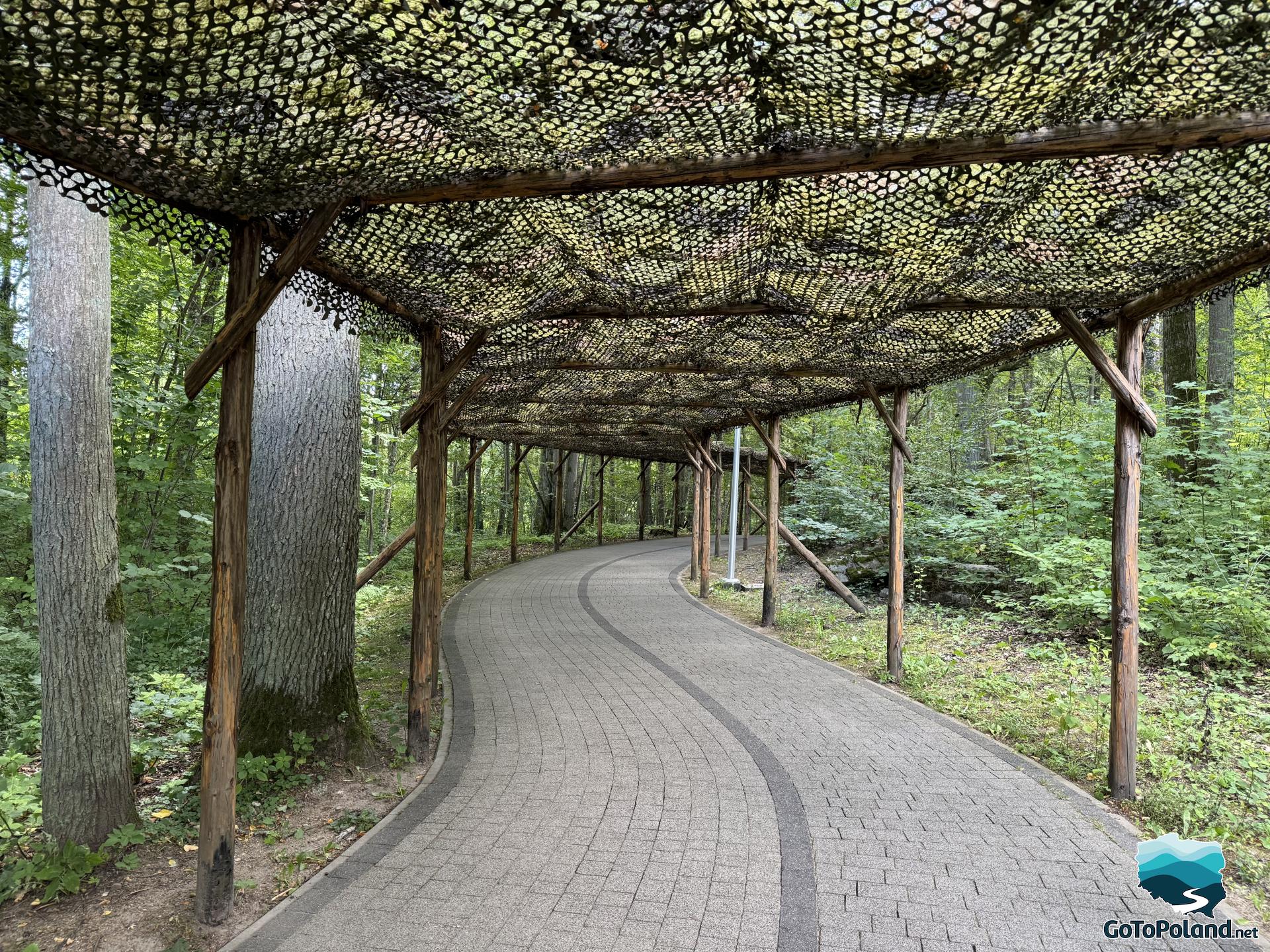 a paved path with a camouflage net spread over it