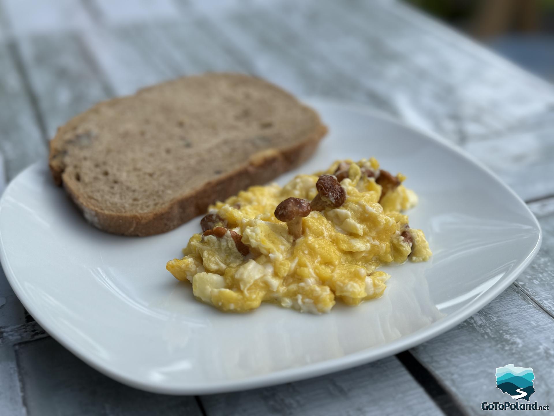 scrambled eggs with forest mushrooms on a white plate