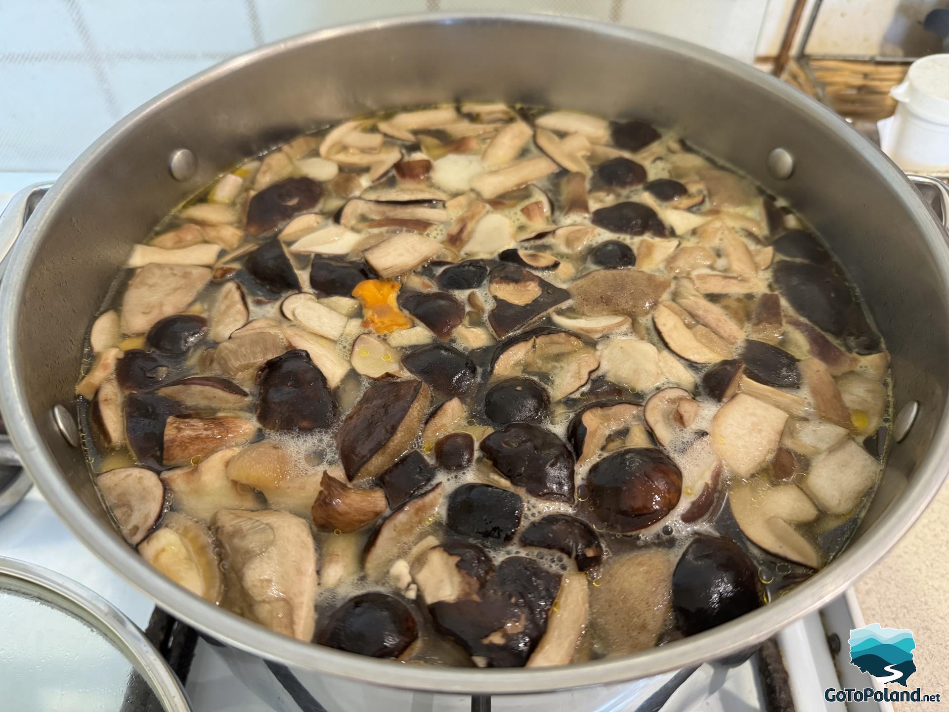 forest mushrooms in a big pot