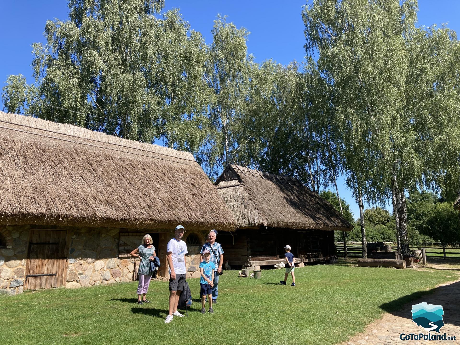the family is standing in front of the huts, both wooden huts, thatched roofs, tall birch trees behind the huts