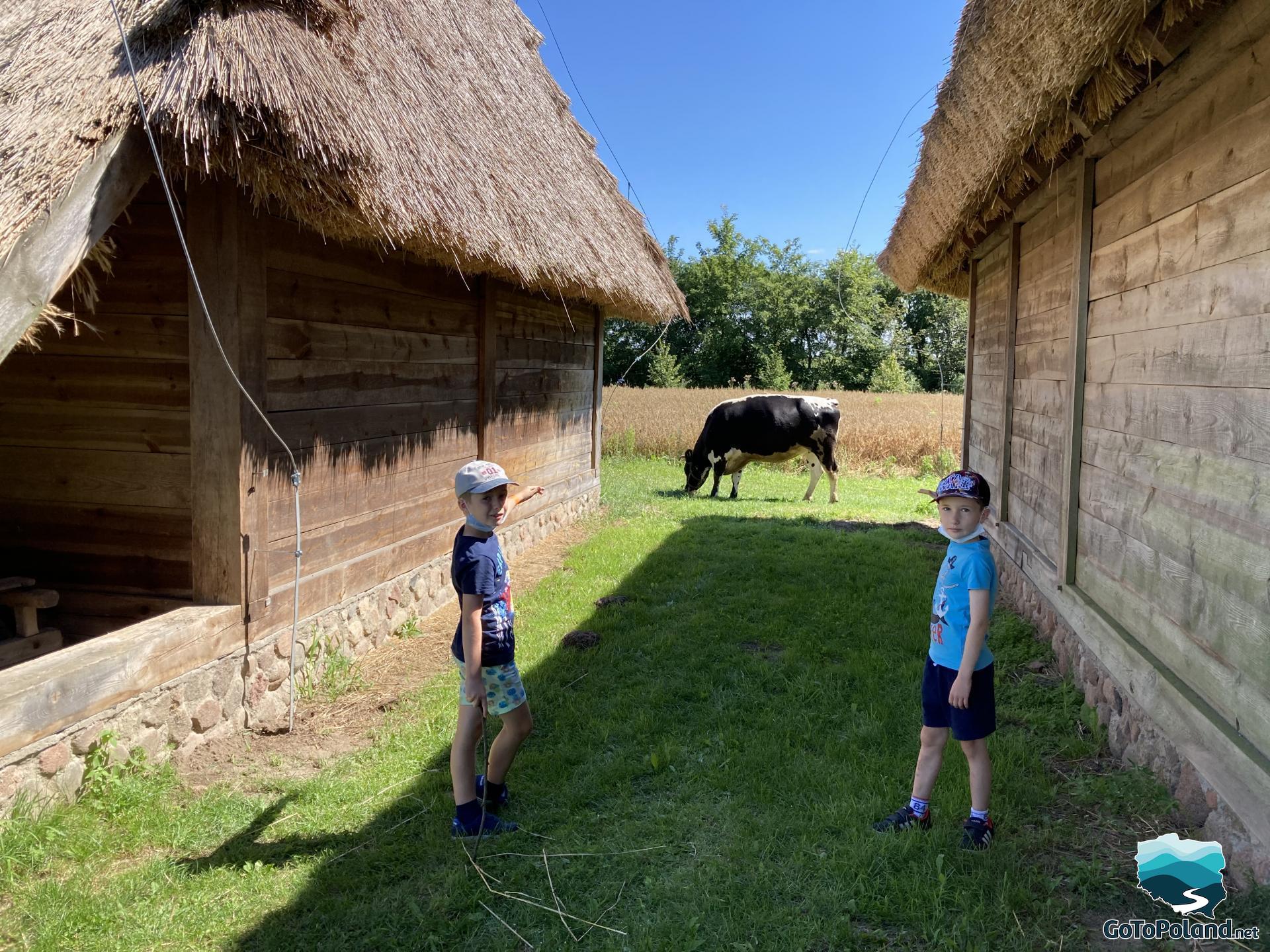 a cow is standing between two huts