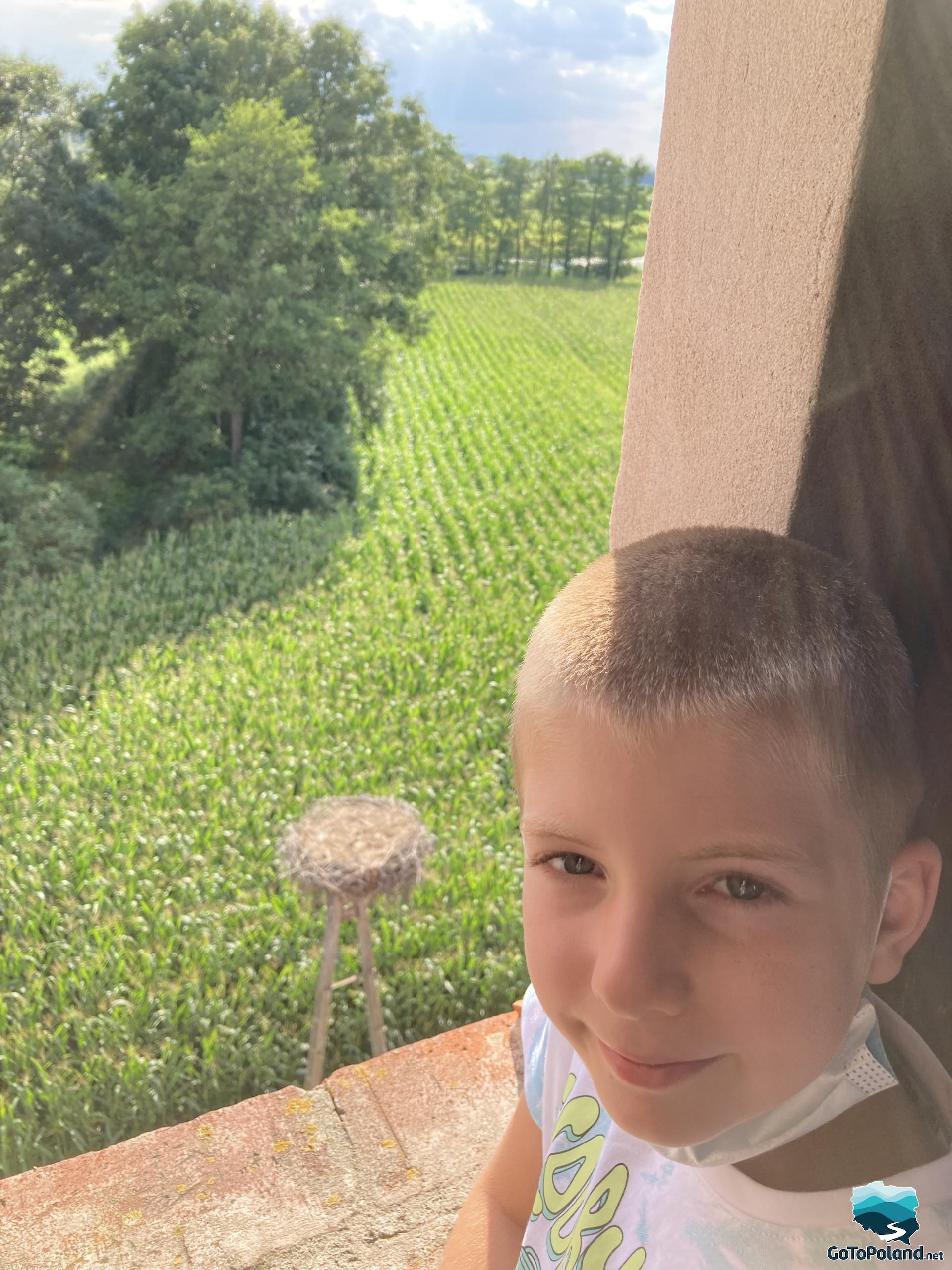 the boy is standing by the castle window, in the background a meadow and a storks nest