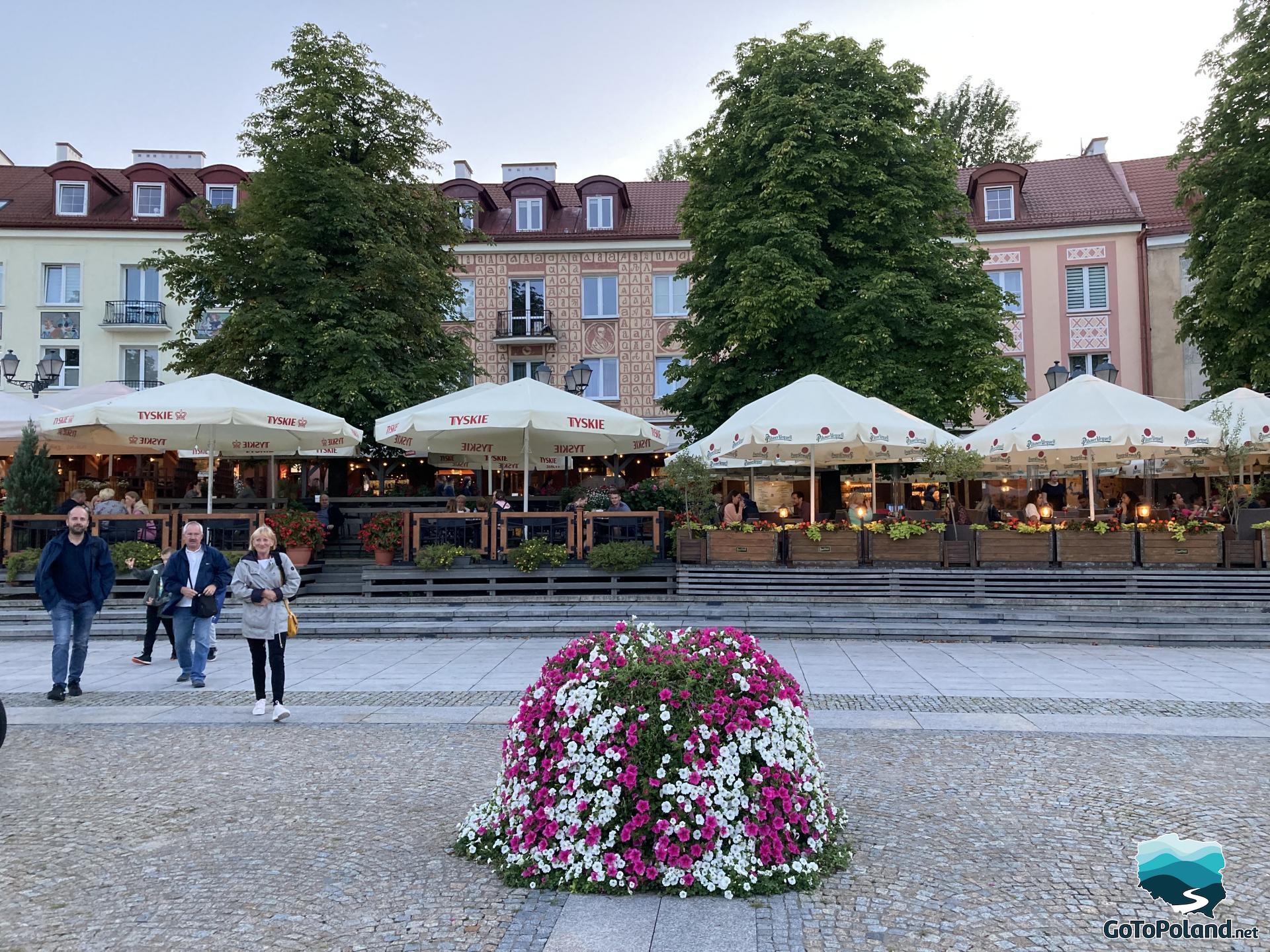 the family is in the square, in the foreground a pot with white and purple flowers, in the background restaurants with outdoor gardens