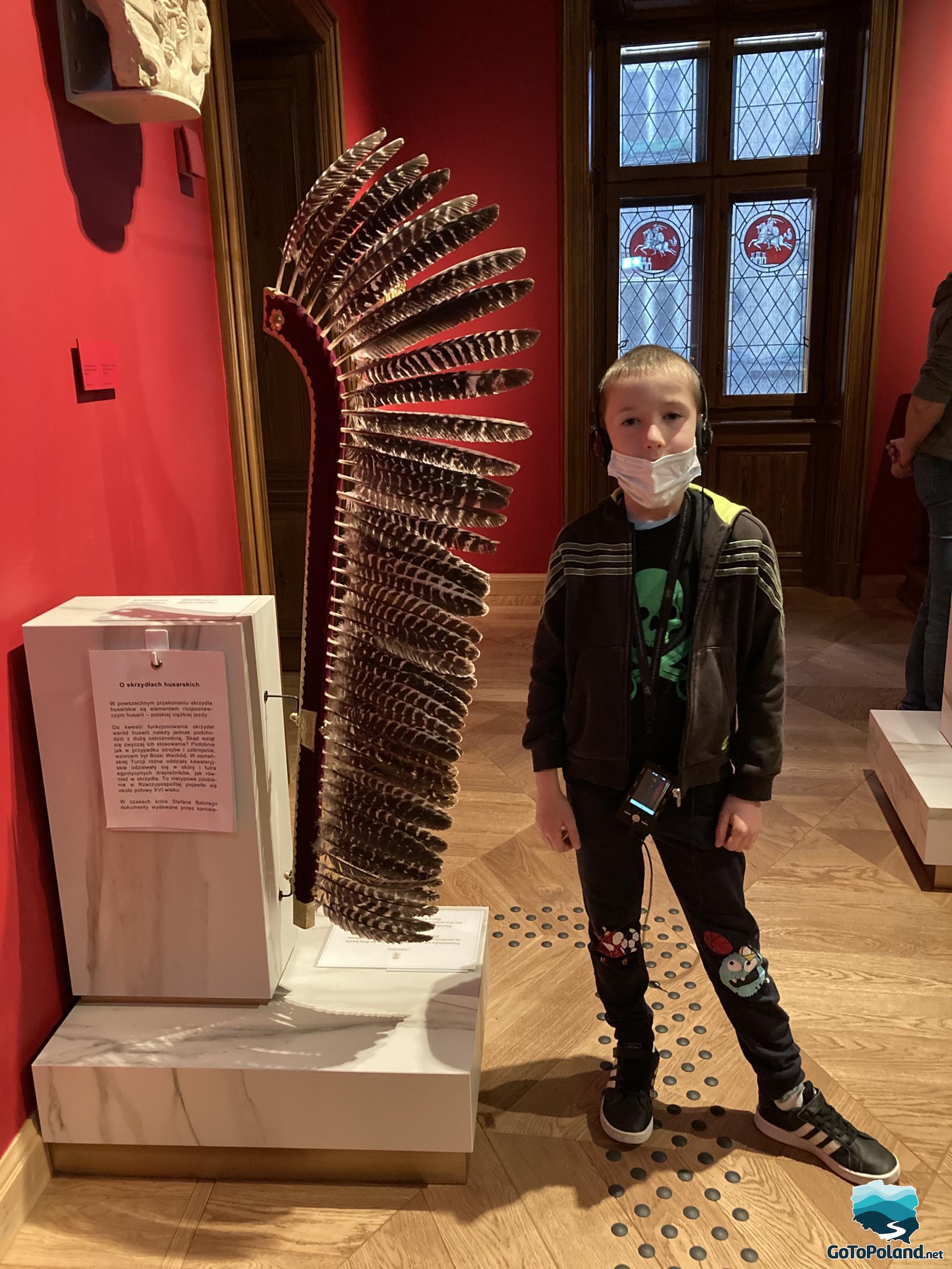A boy is standing by an old piece of armor. It is a hussar wing with feathers
