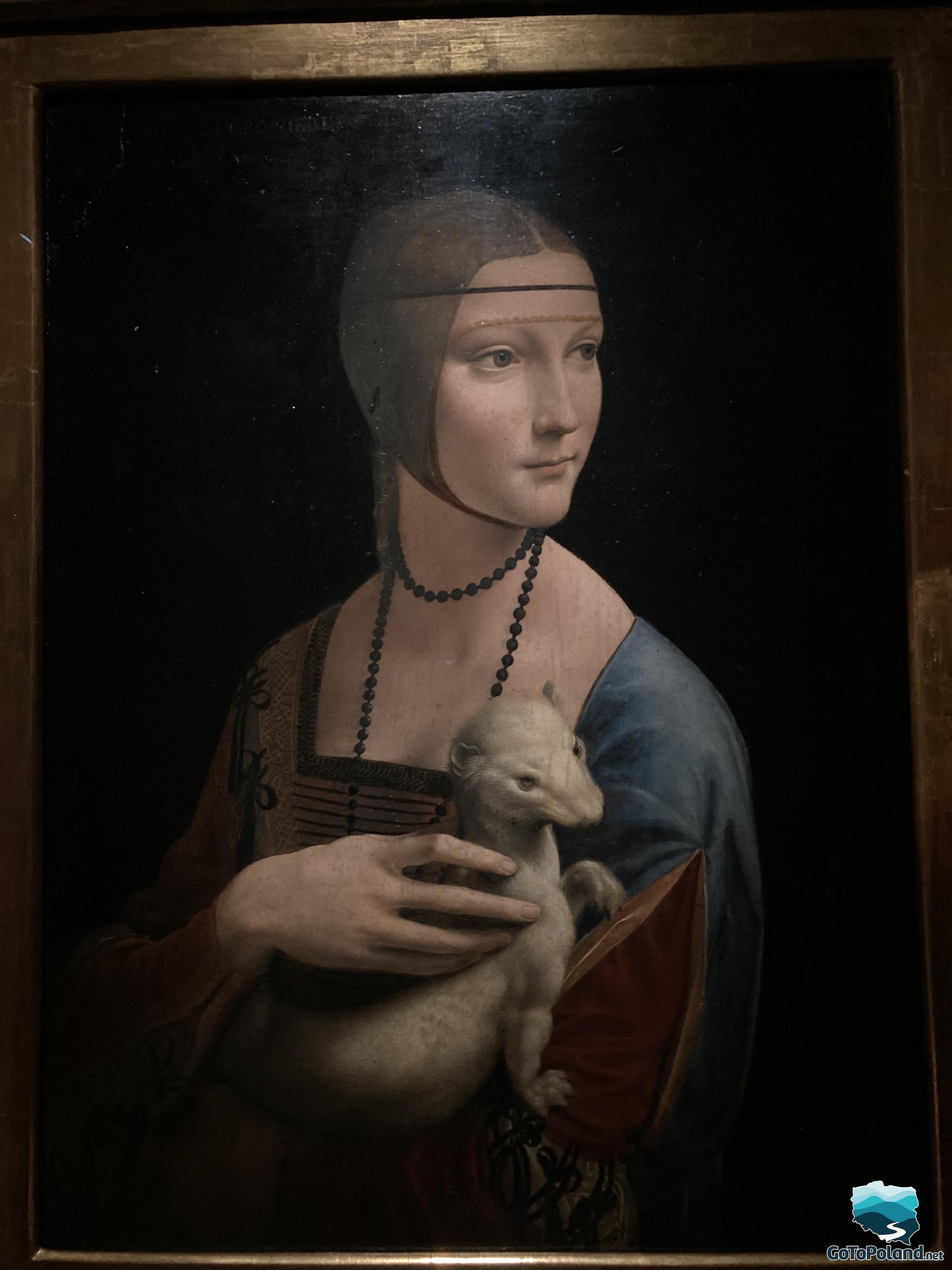 The painting Lady with an Ermine close up by Leonardo da Vinci 