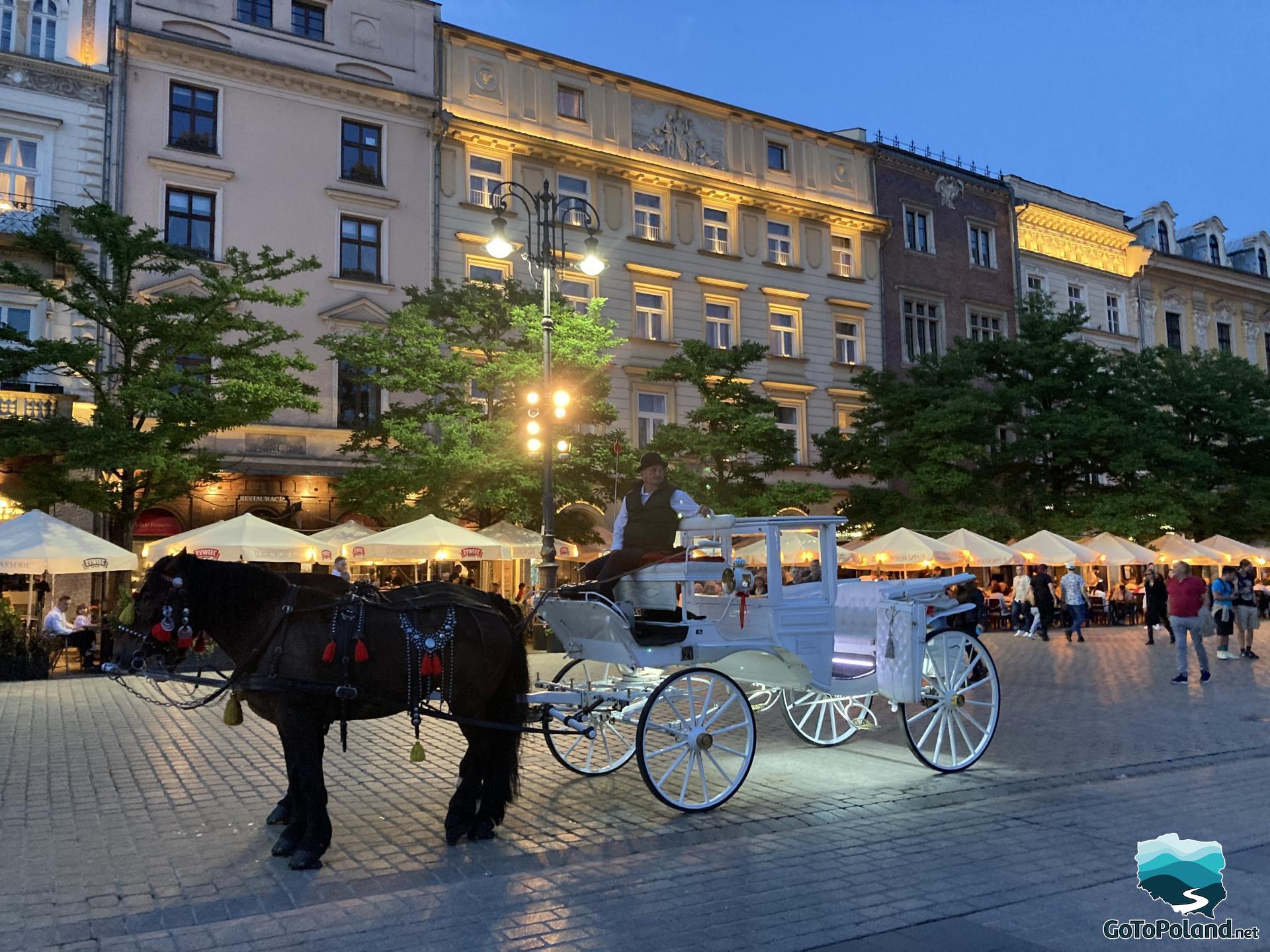 there is a white carriage with two brown horses in the street, it is evening, the buildings in this street are illuminated