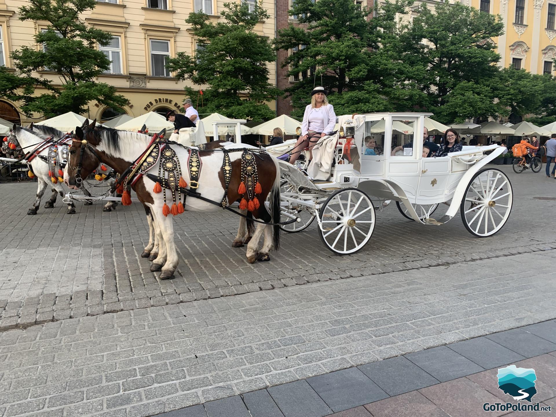 the family is in a white carriage, the woman is the coachman, the horses are white and brown