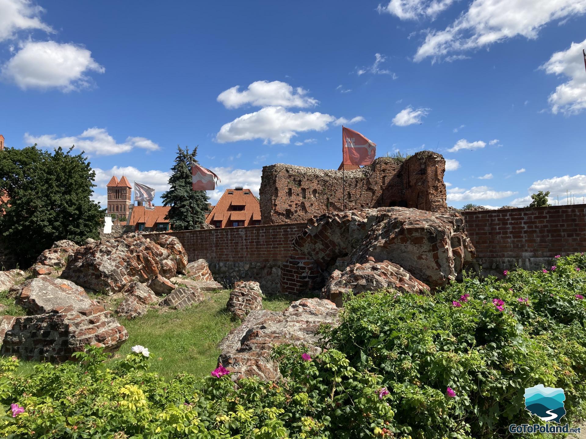 ruins of a former red brick castle, a wild rose grows around them, a church can be seen in the background