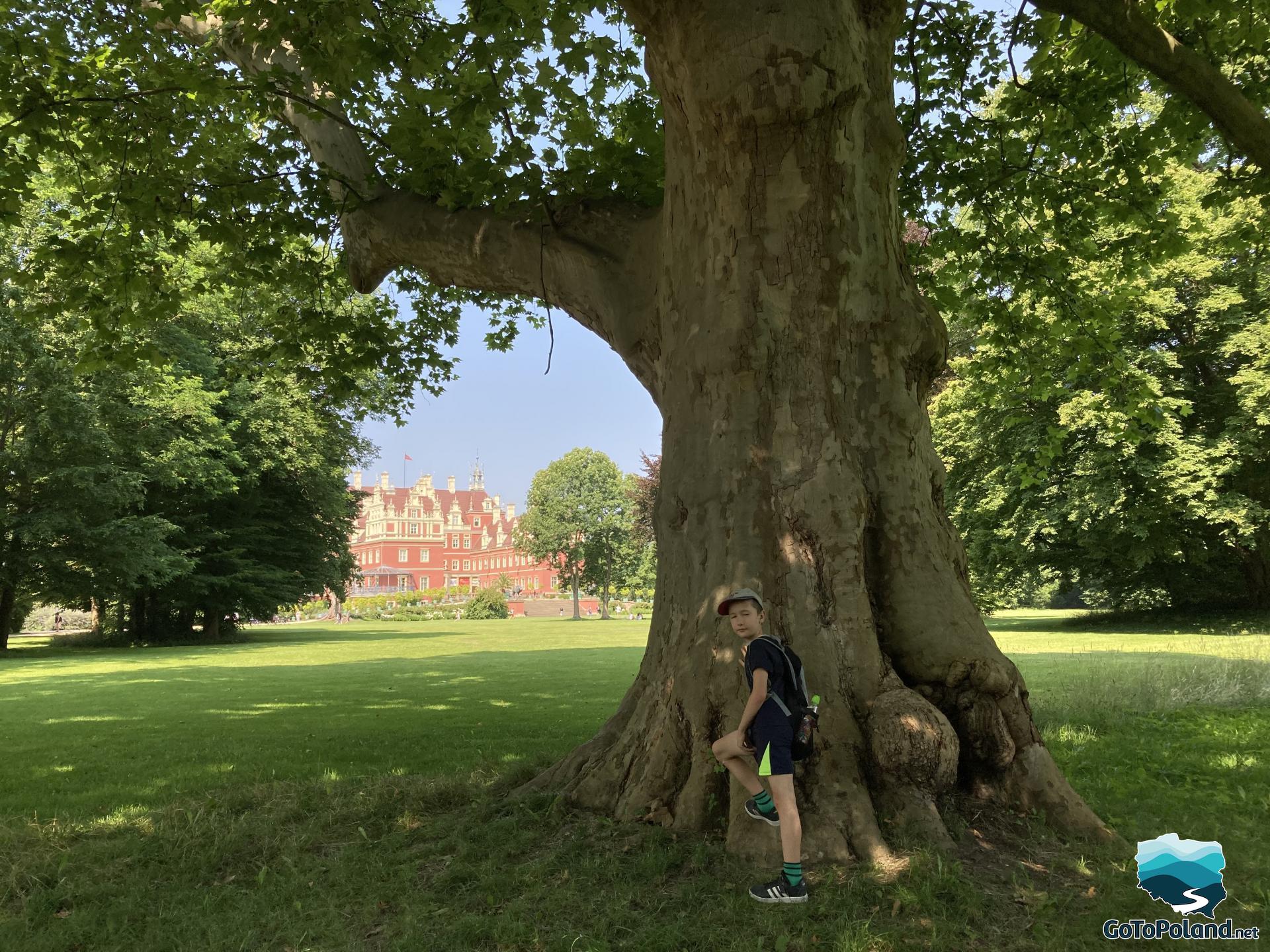 a boy is leaning against a tree trunk, a castle in the background