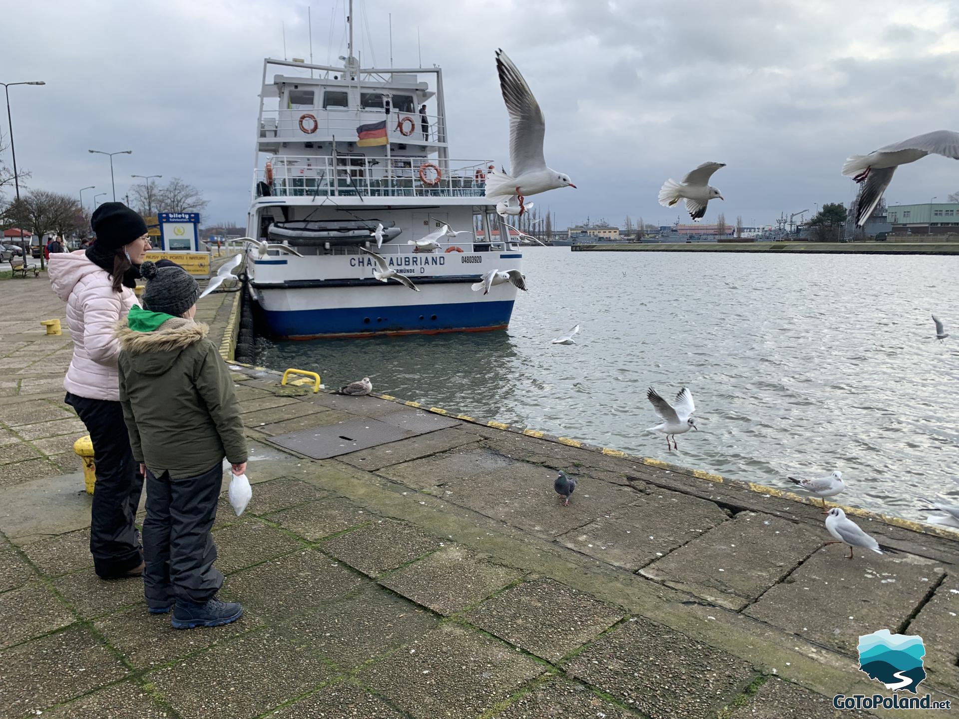 a woman and two boys are on the river bank, seagulls are flying, the ship is moored