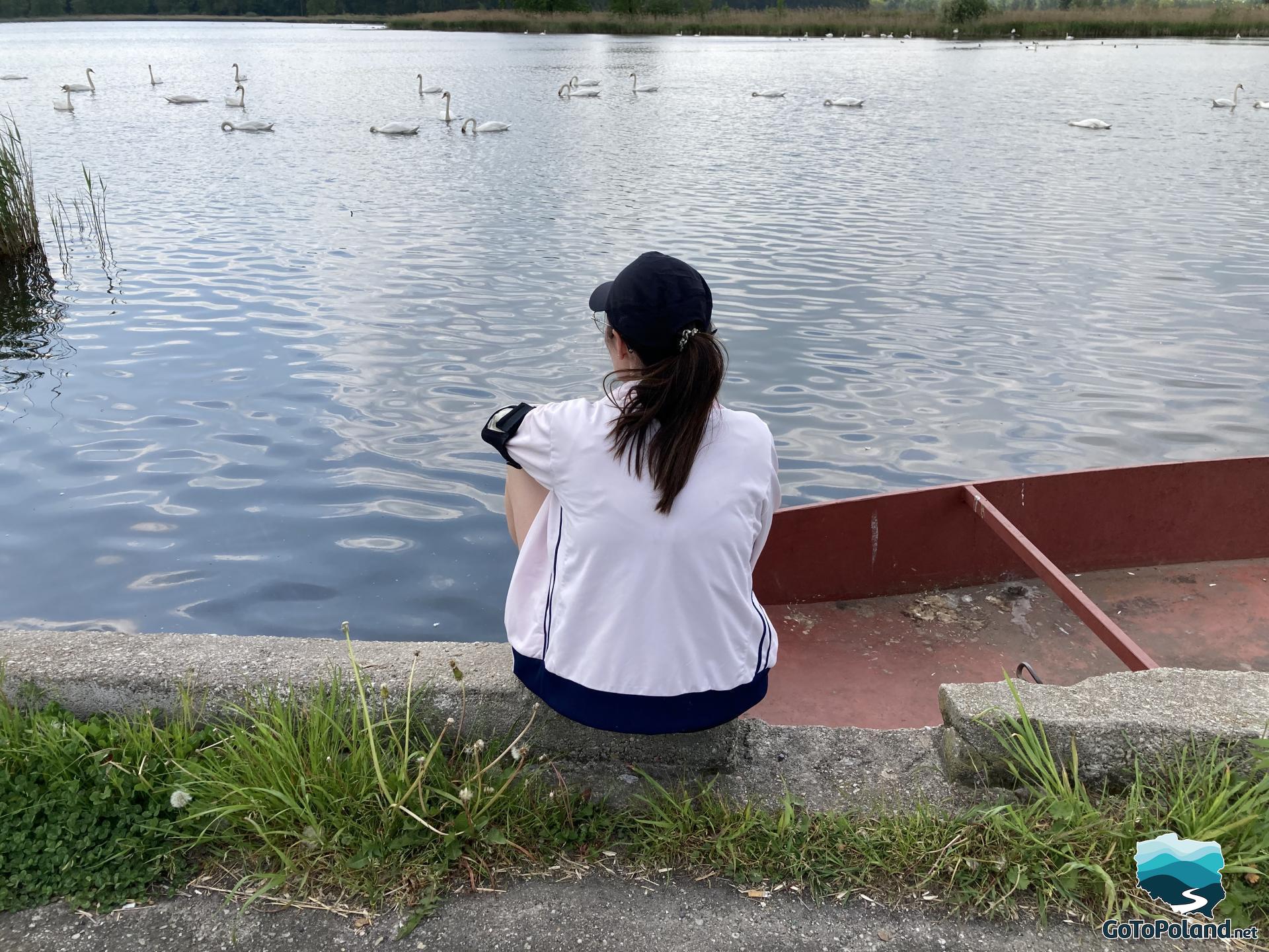 A woman sitting by the pond, lots of swans on the pond in the background