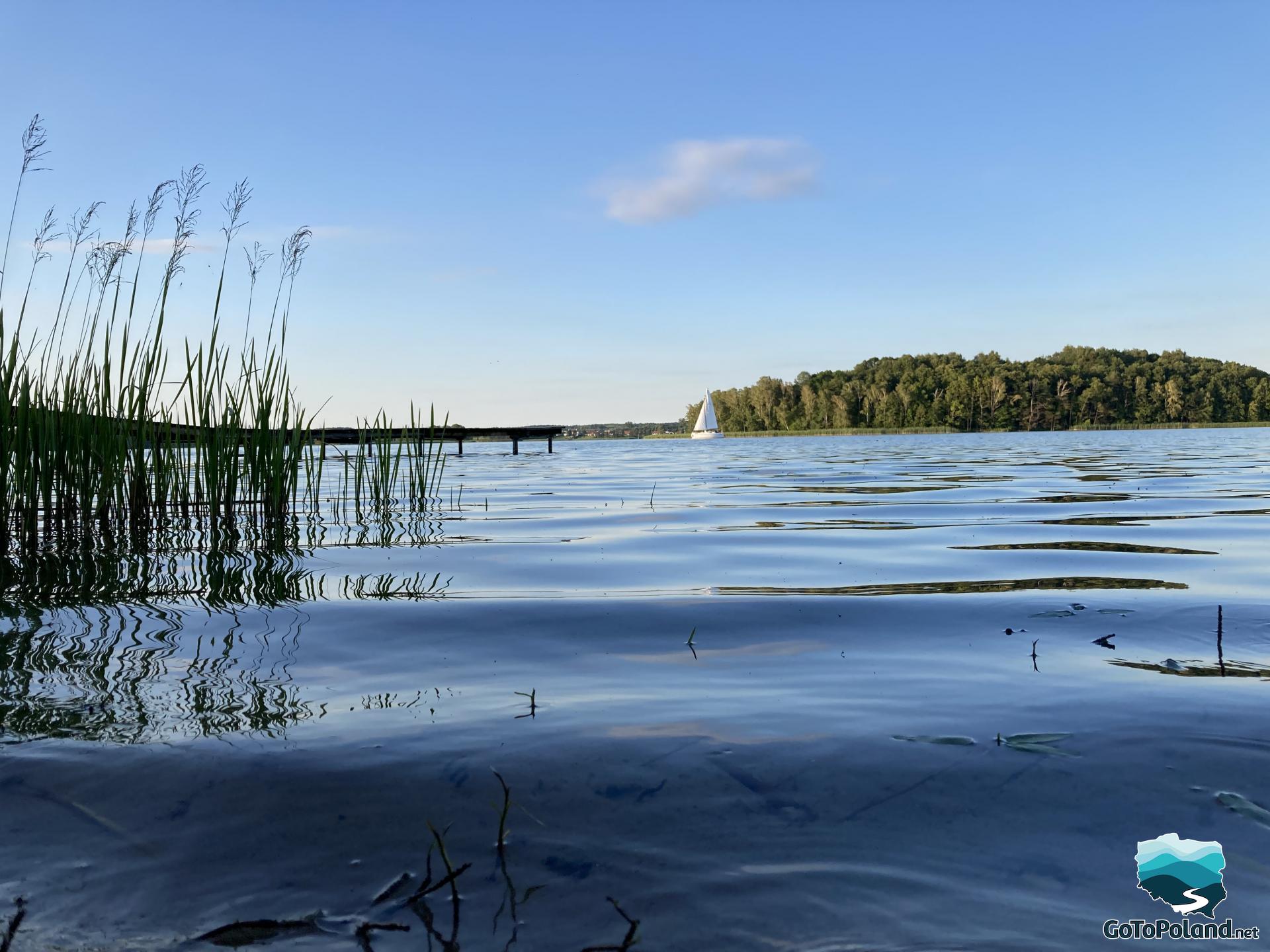 A view of a lake 