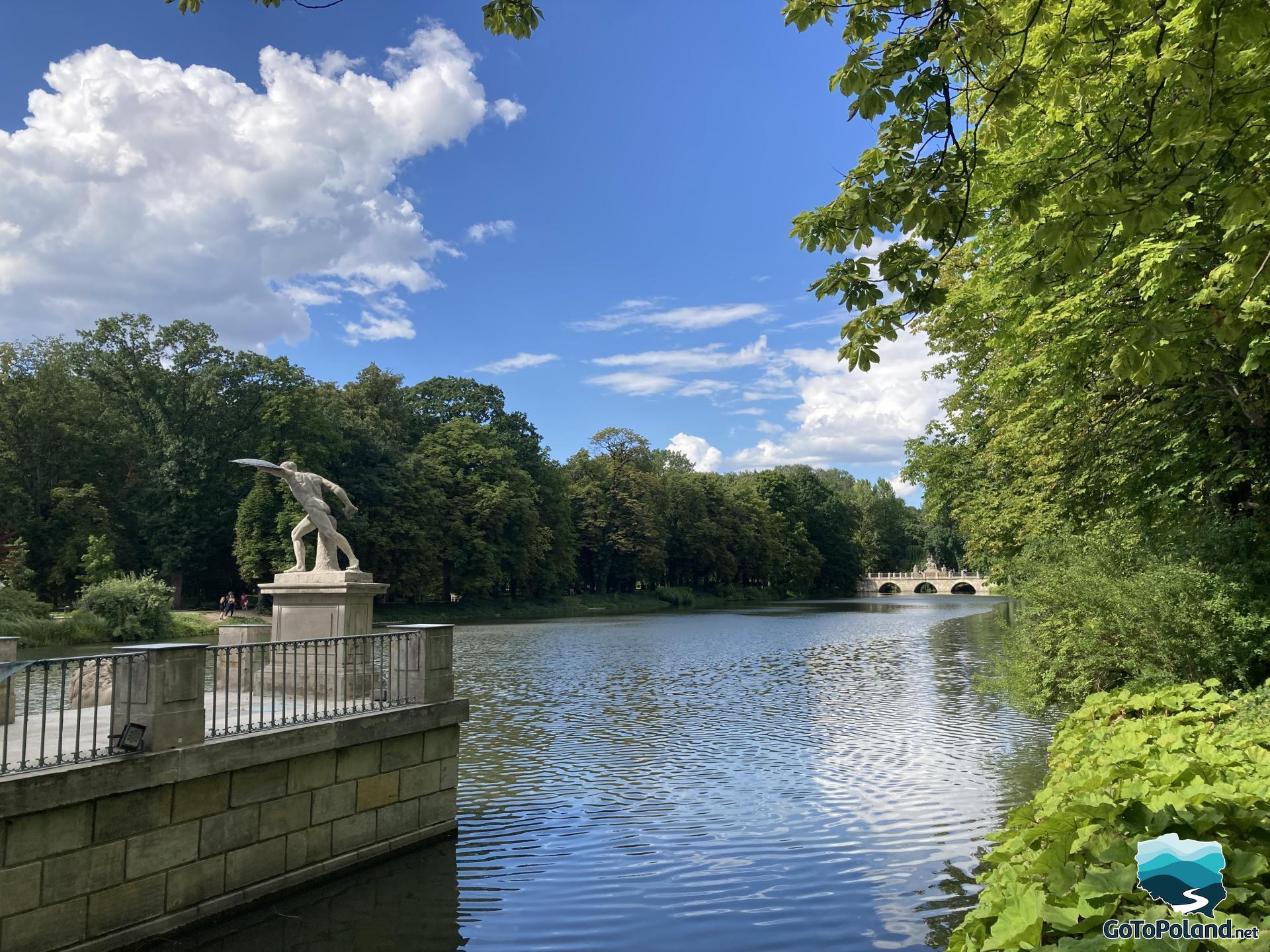 a pond surrounded by a lot of green trees