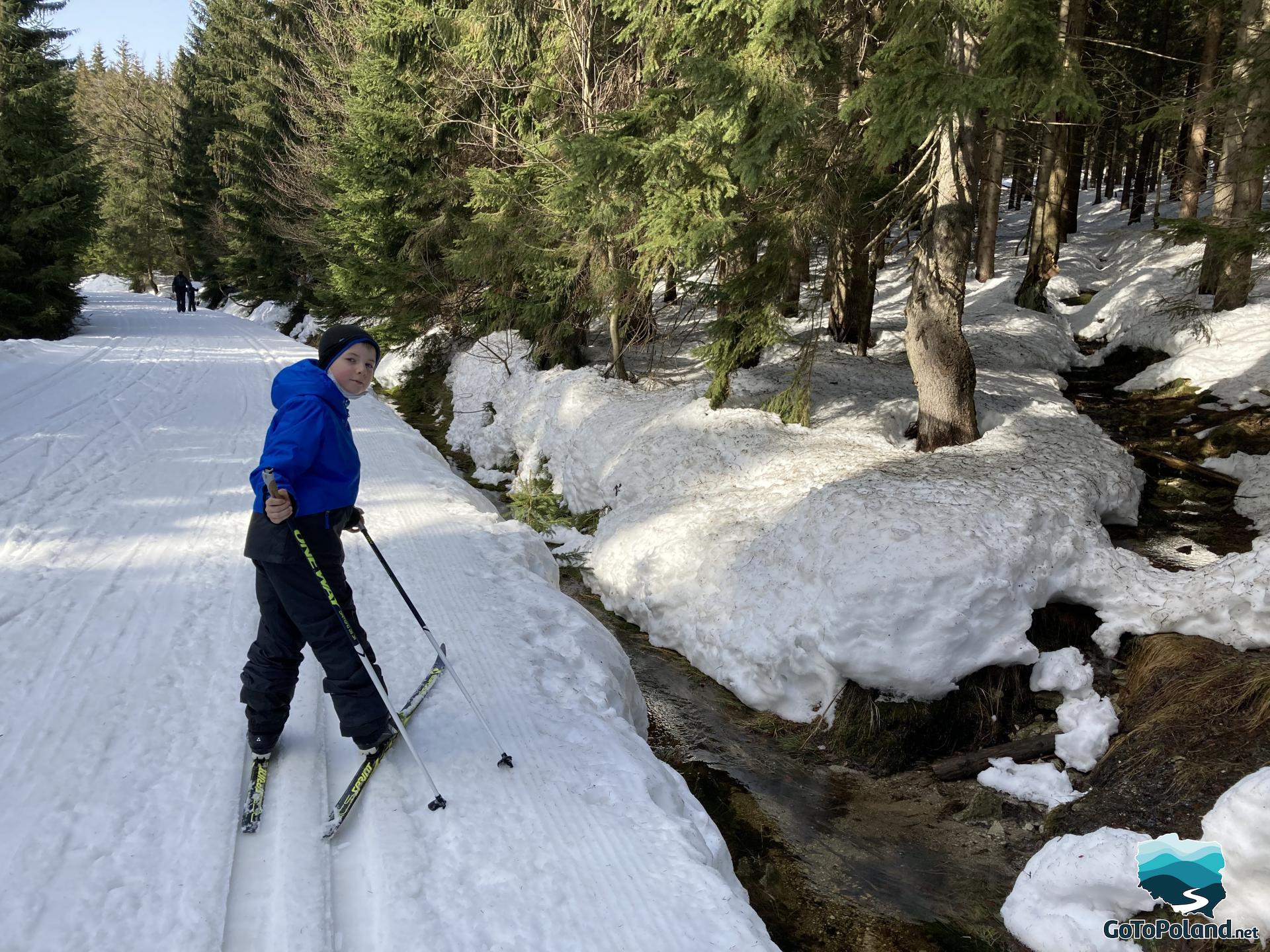 A boy on cross-country skis on a snowy trail