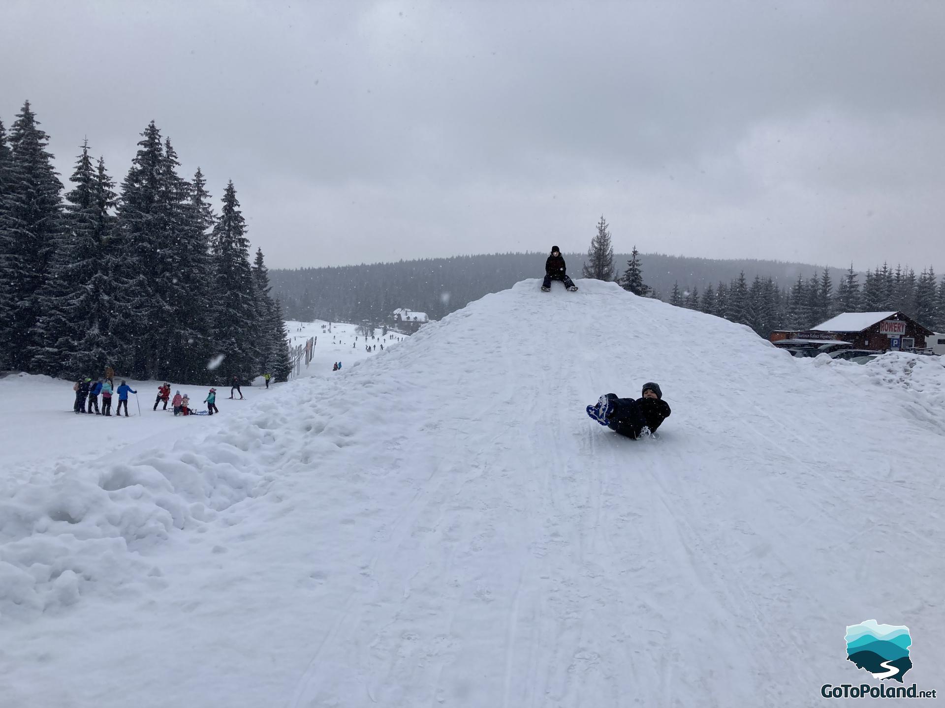 Two boys sledding down a small hill