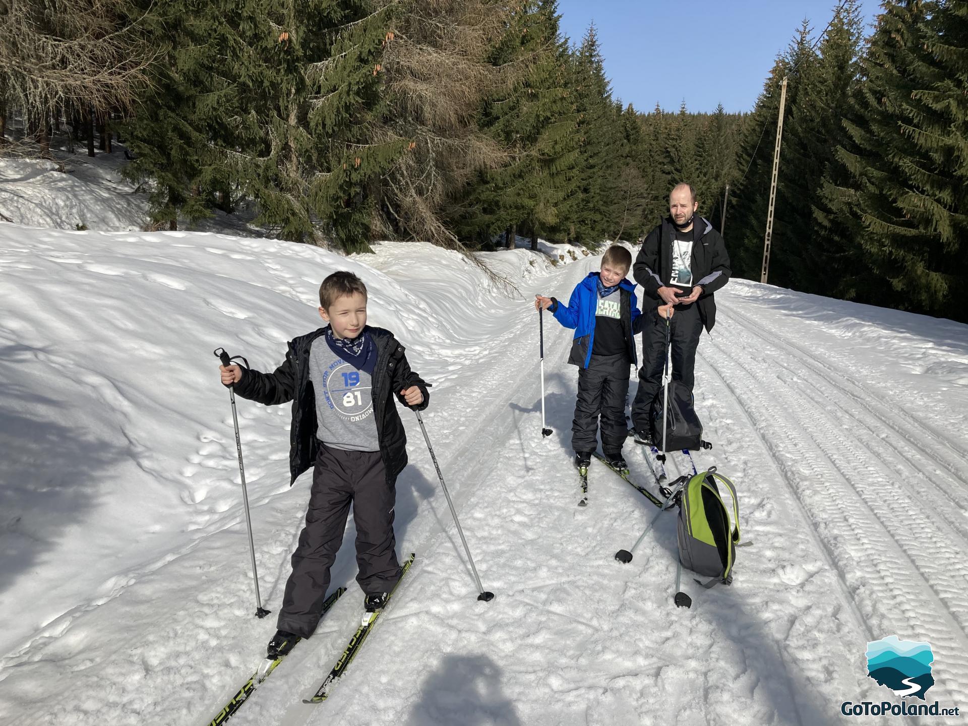 Sunny weather, on the trail two boys and a man cross country skiing 
