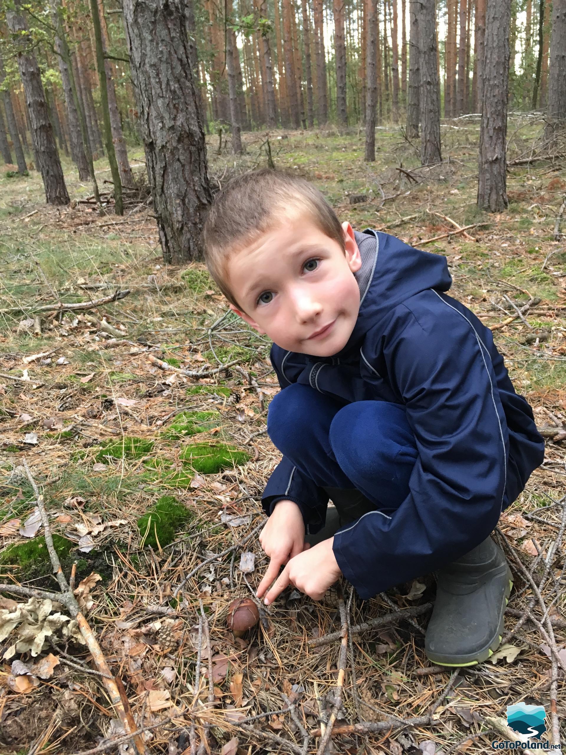 A young boy pointing a mushroom in a forest