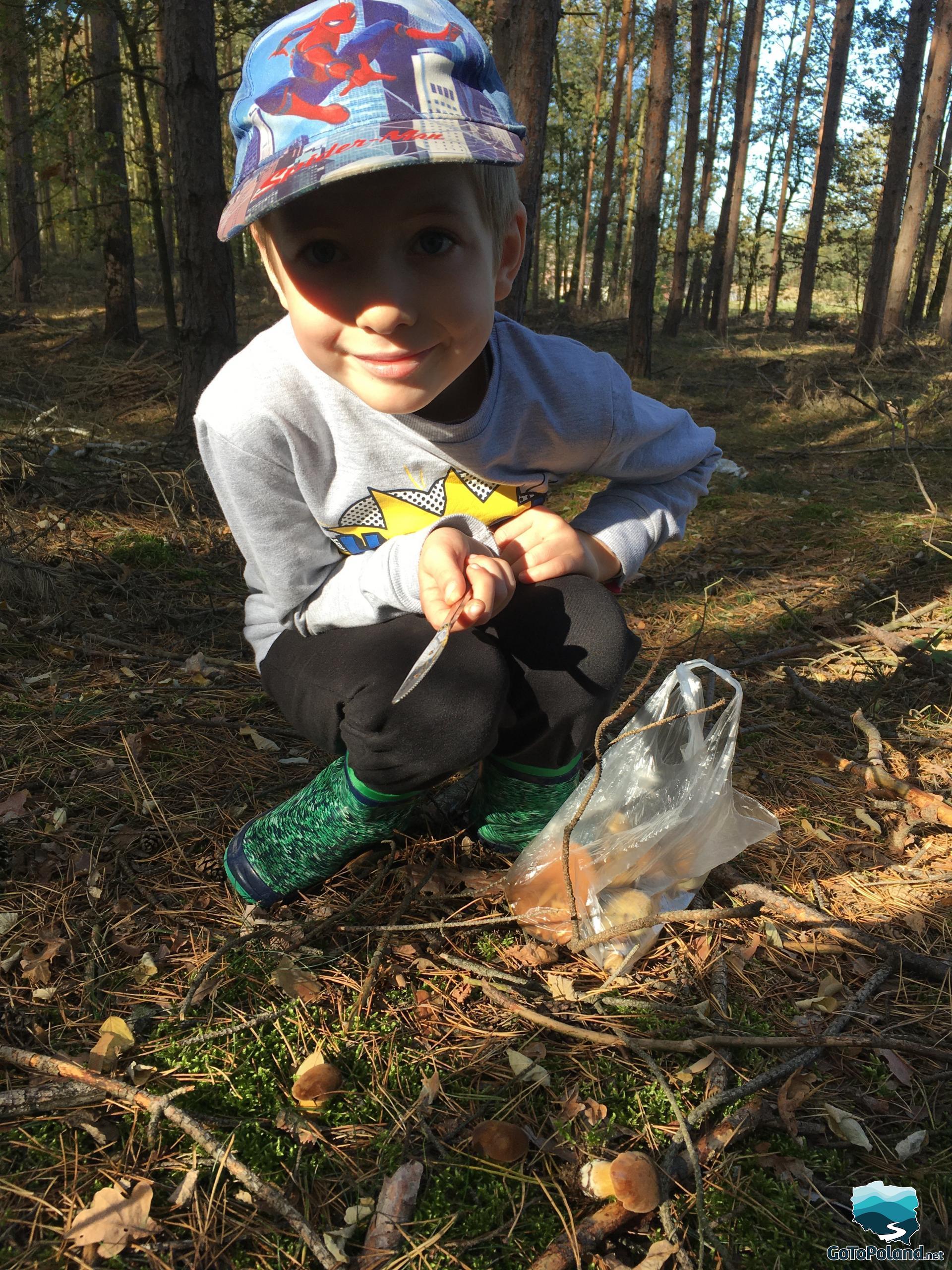 A young boy pointing tree mushrooms in a forest