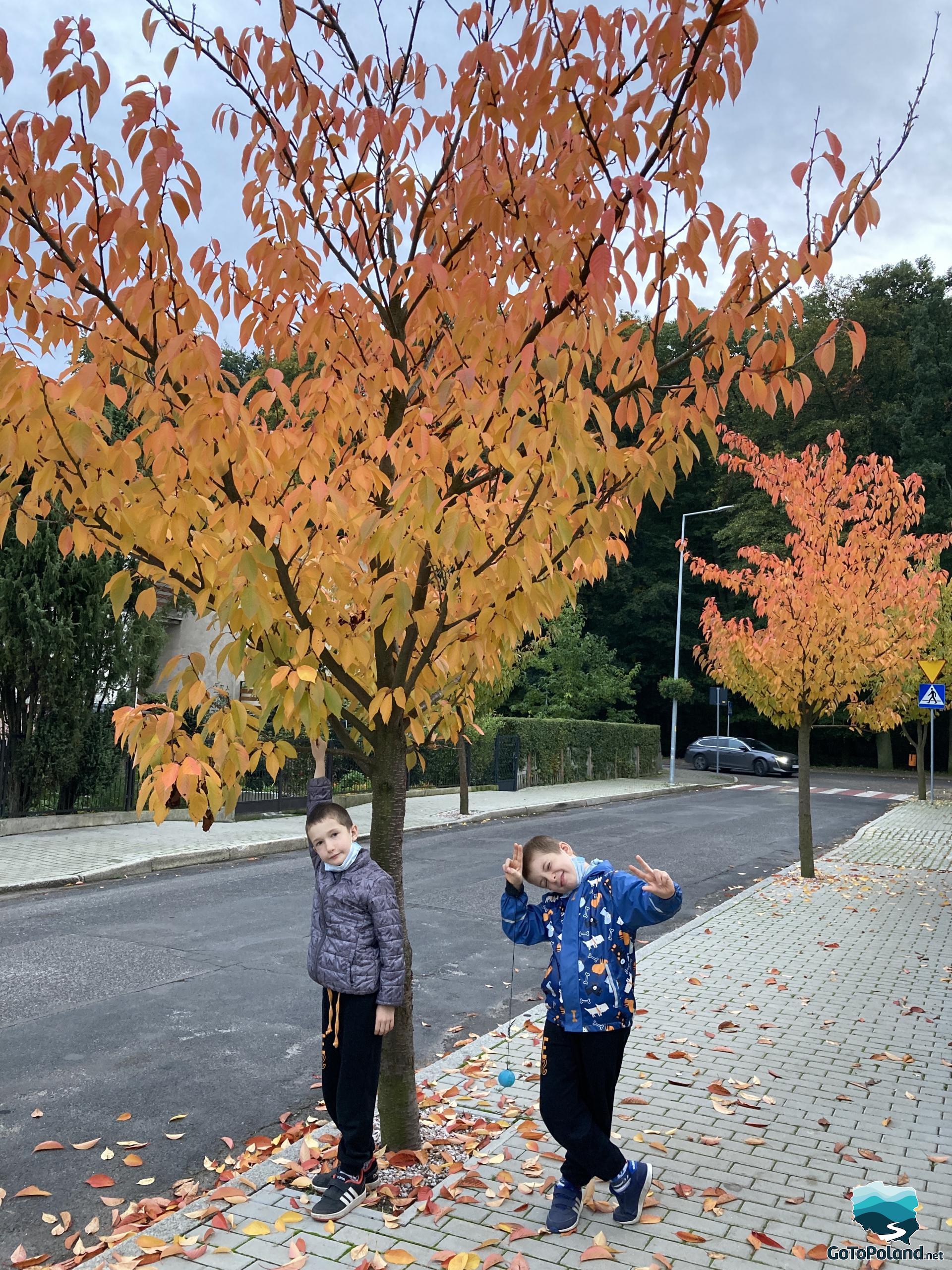 Two boys standing by a tree on the sidewalk 