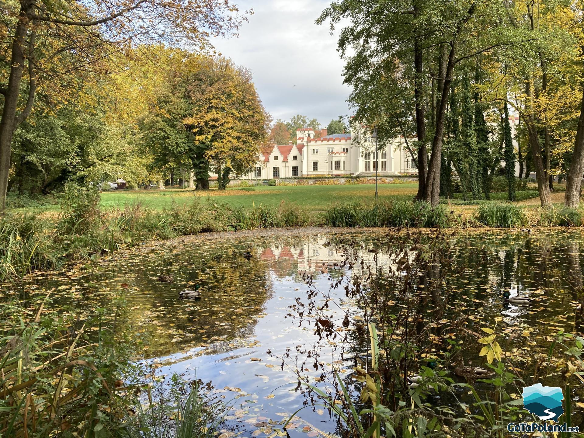 A pond and a park and a pałace in the background